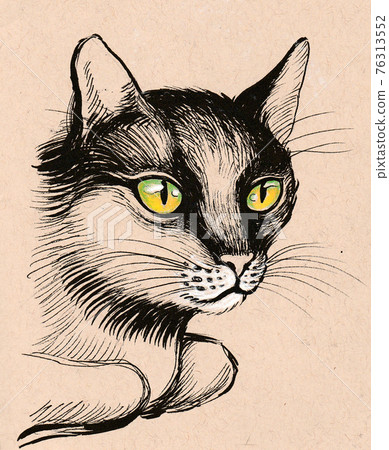 Laying cat. Ink sketch Laying cat. Ink sketch 76313552