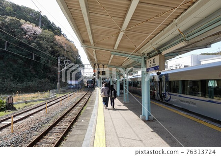 Cherry blossoms blooming on the JR Kisei Main Line "Shirahama Station" platform Cherry blossoms blooming on the JR Kisei Main Line "Shirahama Station" platform 76313724