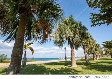 沖繩Chatan Allah海灘 76313852