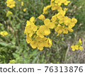 強姦開花 76313876