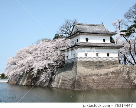 Spring of Shibata castle Spring of Shibata castle 76314447