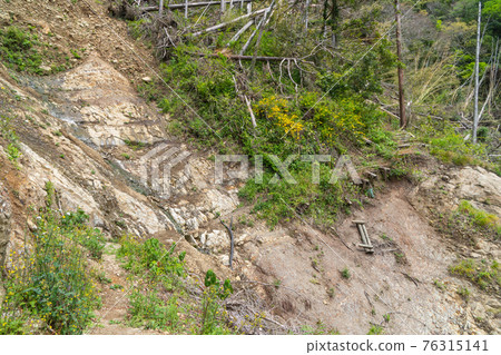 富山山地步道Fusehime遠足路線(千葉縣南房總市) 富山山地步道Fusehime遠足路線(千葉縣南房總市) 76315141