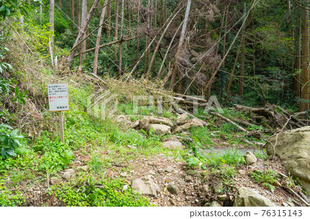 富山Fusehime遠足路線起點(千葉縣南房總市) 富山Fusehime遠足路線起點(千葉縣南房總市) 76315143
