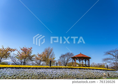 名古屋市港區戶田川綠地公園的花壇和Azumaya 名古屋市港區戶田川綠地公園的花壇和Azumaya 76316026