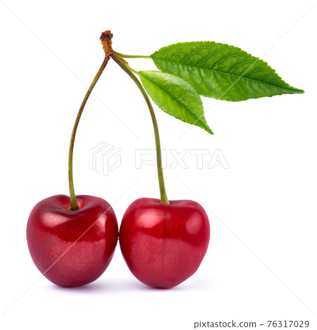 sweet cherry fruits isolated on white background 76317029