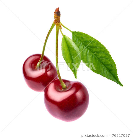 sweet cherry fruits isolated on white background 76317037