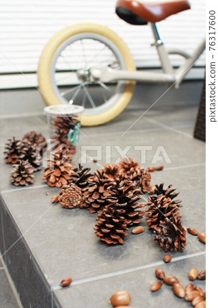 Pine cones and acorns lined up at the front door Pine cones and acorns lined up at the front door 76317600