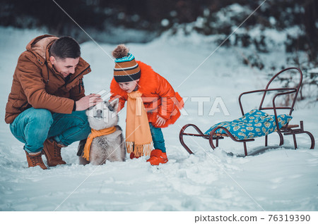 Family walk in the winter forest with huskies, happy daughter and dad playing with a dog. Family walk in the winter forest with huskies, happy daughter and dad playing with a dog. 76319390