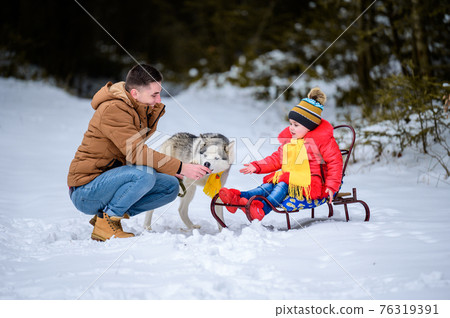 Family walk in the winter forest with huskies, happy daughter and dad playing with a dog. Family walk in the winter forest with huskies, happy daughter and dad playing with a dog. 76319391