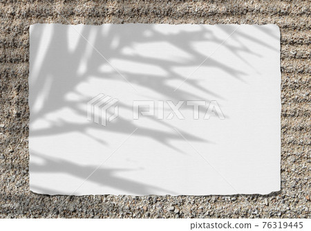 Resort sandy beach and natural eared paper with palm shadows Resort sandy beach and natural eared paper with palm shadows 76319445