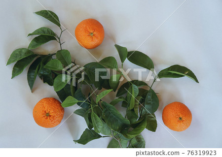 Clementines tangerines, twig with green leaves as spring decor on gray paper background. Clementines tangerines, twig with green leaves as spring decor on gray paper background. 76319923