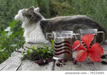 Glass cup of red herbal Hibiscus tea with ingredients and sleep cat on wooden table against a blurred green meadow Glass cup of red herbal Hibiscus tea with ingredients and sleep cat on wooden table against a blurred green meadow 76319985