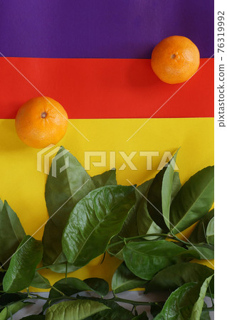 Clementines tangerines, twig with green leaves as spring decor on yellow, red, blue paper background. Clementines tangerines, twig with green leaves as spring decor on yellow, red, blue paper background. 76319992