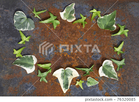 Creative top view spring ornament from green leaves of hedera in minimal style on rustic iron background Creative top view spring ornament from green leaves of hedera in minimal style on rustic iron background 76320085