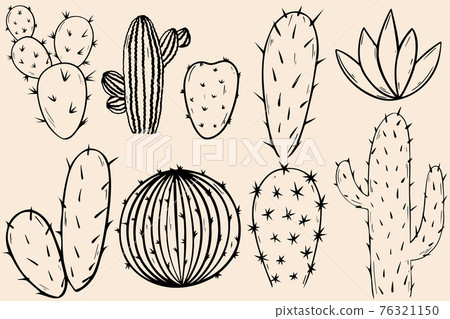 Set of cacti. Sketch of cacti. Doodles on a light background, vector. Set of cacti. Sketch of cacti. Doodles on a light background, vector. 76321150