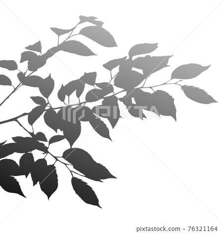 Cherry leaf shadow 76321164