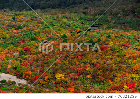 那須 那須 76321259