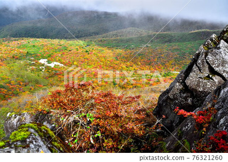 那須 那須 76321260