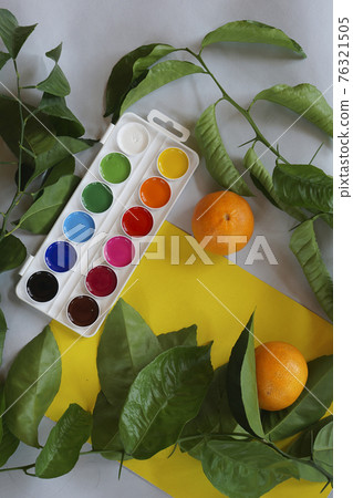 consept for colors of nature: Clementines tangerines, twig with green leaves as spring decor and new paints on yellow and gray paper consept for colors of nature: Clementines tangerines, twig with green leaves as spring decor and new paints on yellow and gray paper 76321505
