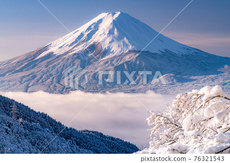 《山梨縣》富士山和樹上的霧rim ・日本的冬季風景 《山梨縣》富士山和樹上的霧rim ・日本的冬季風景 76321543