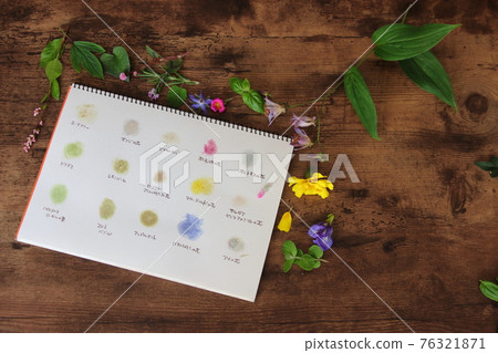 花與葉的色彩遊戲 76321871