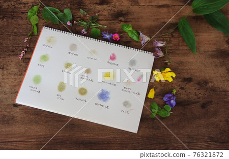 花與葉的色彩遊戲 花與葉的色彩遊戲 76321872