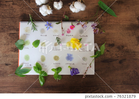 Color play of flowers and leaves Color play of flowers and leaves 76321879