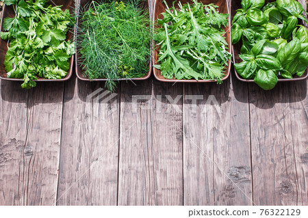 Fresh basil, coriander, arugula and dill 76322129