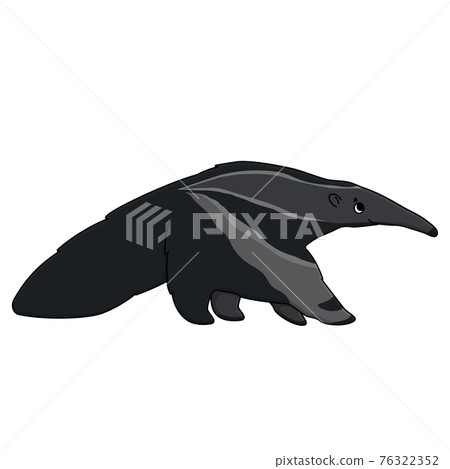 Vector outline cute cartoon isolated anteater gray animal is going to somewhere and looks up. Hand drawn doodle ant-eater illustration on white background, side view. Vector outline cute cartoon isolated anteater gray animal is going to somewhere and looks up. Hand drawn doodle ant-eater illustration on white background, side view. 76322352