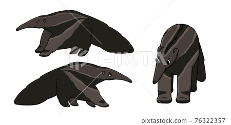 Set of three brown cute beautiful outline cartoon isolated ant-eaters or anteaters. Vector animals stand or go to somewhere, front and side view. Hand drawn doodle illustration on white background. Set of three brown cute beautiful outline cartoon isolated ant-eaters or anteaters. Vector animals stand or go to somewhere, front and side view. Hand drawn doodle illustration on white background. 76322357