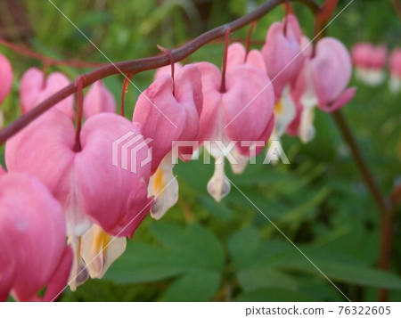 Kentucky Kentucky 76322605