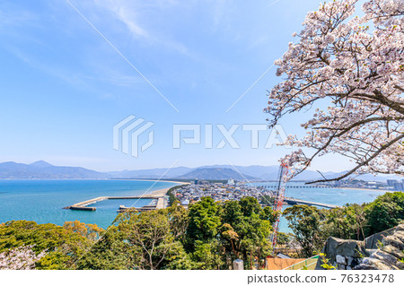 從佐賀縣唐津城和唐津市看到的櫻花 76323478
