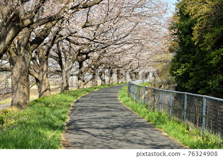 Minuma field walk: Kataya Nitta Green Healthy Road Minuma field walk: Kataya Nitta Green Healthy Road 76324908