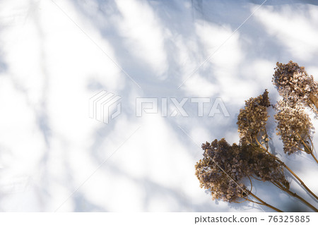 A book placed on a white fabric with natural light and the shadows of plants A book placed on a white fabric with natural light and the shadows of plants 76325885