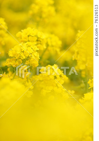強姦開花 強姦開花 76326513