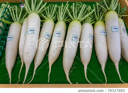 Daikon radish, Kanazawa, Japan. Daikon radish, Kanazawa, Japan. 76327885