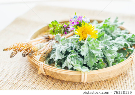 馬尾艾草春味 76328159