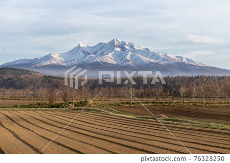 春天的斜里山和田野 春天的斜里山和田野 76328250