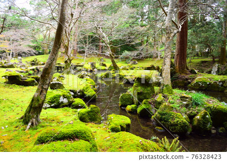 Taki Kitahata Castle [Continued Top 100 Japanese Castles] 76328423