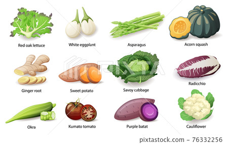 Vegetables with caption titles set, vector flat style illustration. Vegetables with caption titles set, vector flat style illustration. 76332256