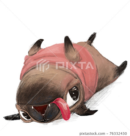 cute lovely little pug in pink sweater 76332430