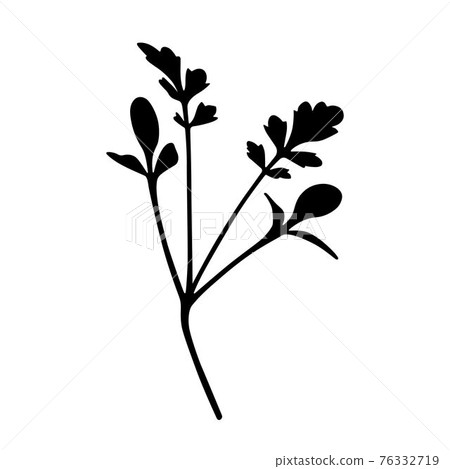 Organic microgrean 76332719