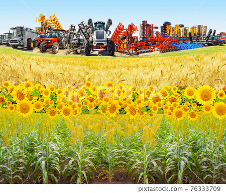 Collage about farm, agriculture, farming. Concept of equipment readiness for agricultural work - for sowing and harvesting wheat Collage about farm, agriculture, farming. Concept of equipment readiness for agricultural work - for sowing and harvesting wheat 76333709
