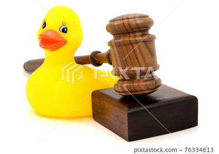 Child Legal Services 76334613