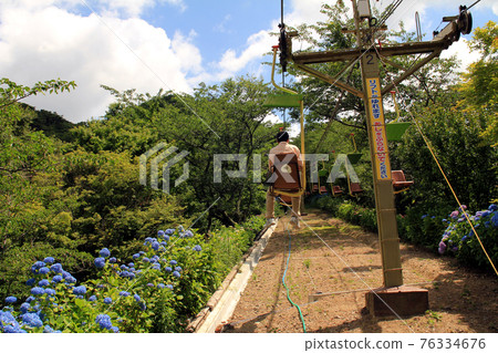 Myoken Forest Lift and Hydrangea 76334676