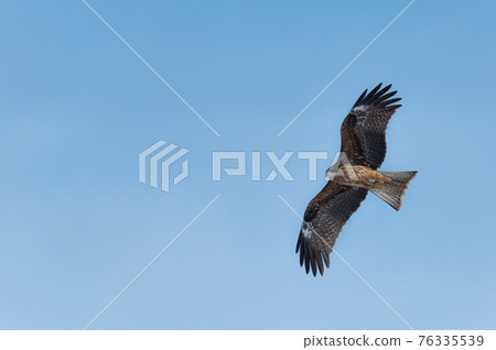 Lake Furen winter scenery Lake Furen winter scenery 76335539