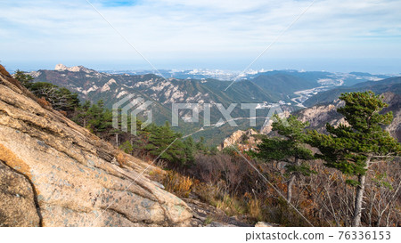 panoramic view of mountain slope with pine grove panoramic view of mountain slope with pine grove 76336153