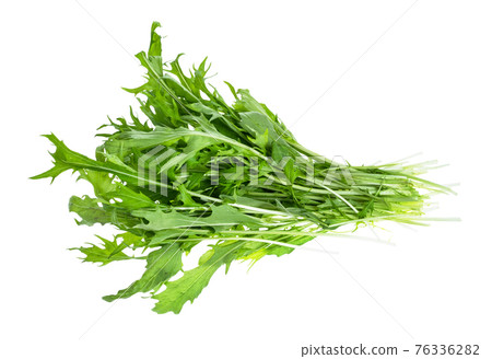 bundle of mizuna (Japanese leaf cabbage) herb bundle of mizuna (Japanese leaf cabbage) herb 76336282