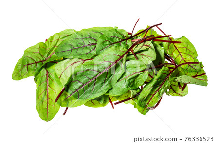 pile of leaves of Chard leafy vegetable cut out 76336523