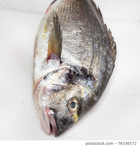 head of raw gilt-head bream (Orata) on white paper 76336572